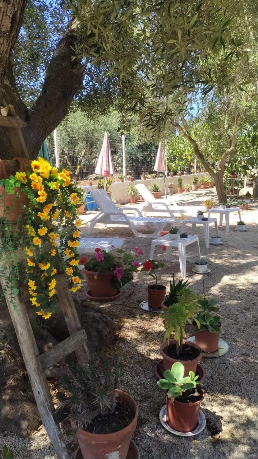 Monacizzo Villa Milla المظهر الخارجي الصورة